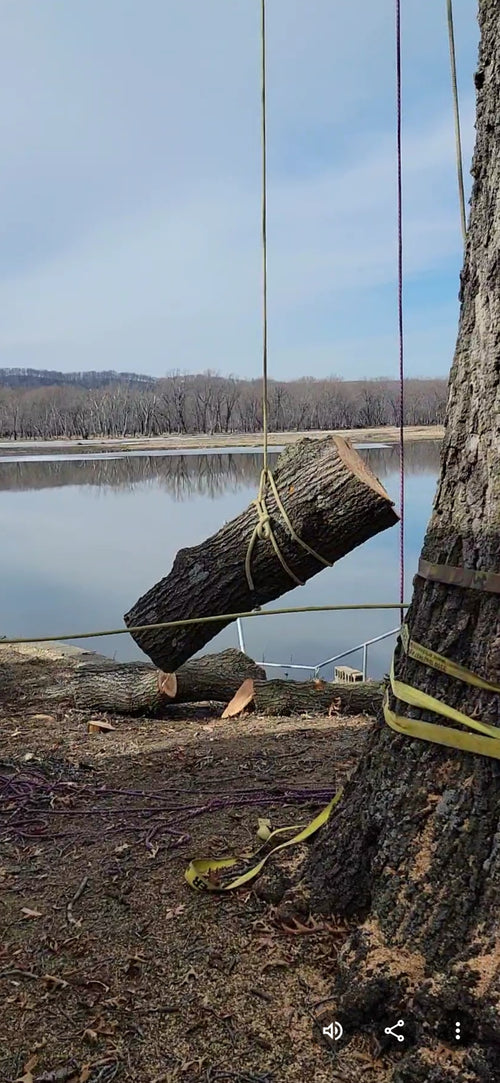 Free shipping in USA